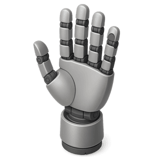 Robotic Hand