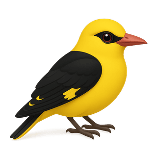 Golden oriole