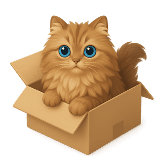 cat in a box