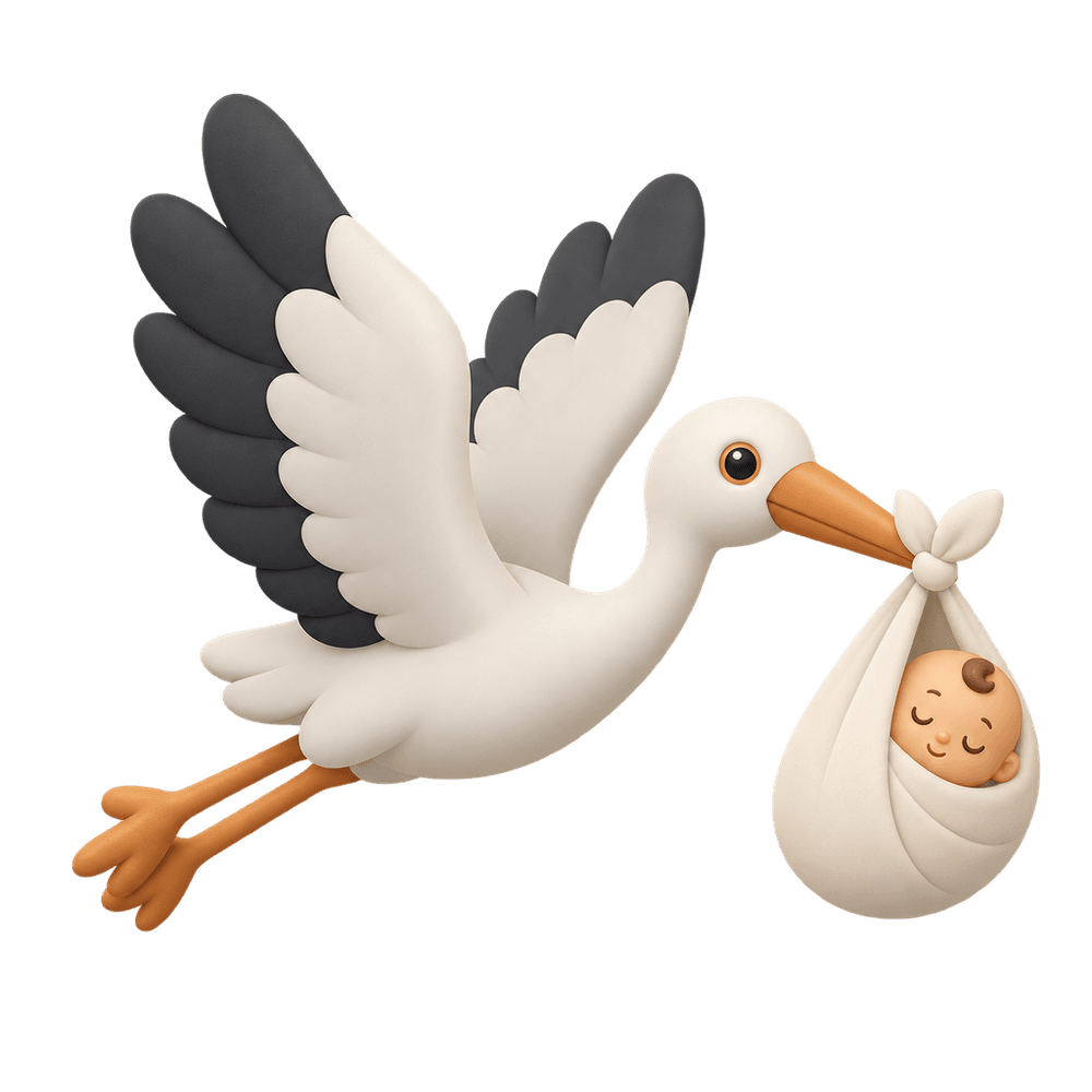 Stork Carrying Baby Bundle 3D icon