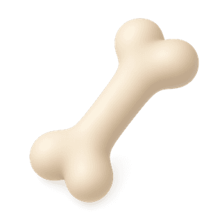 Bone
