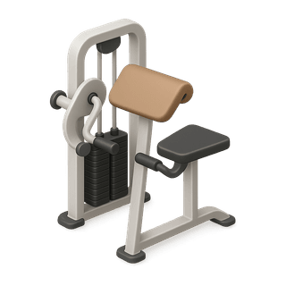 Biceps Curl Machine