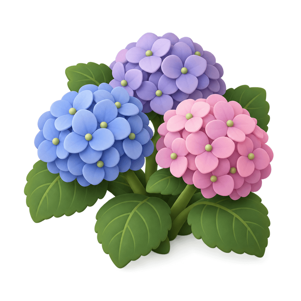 Hydrangea 3D icon