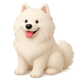 Samoyed dog