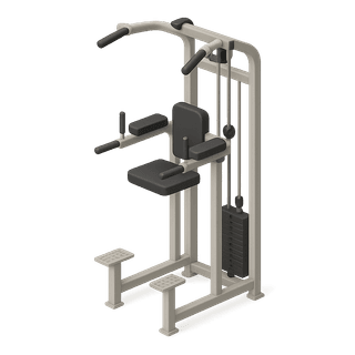 Assisted Chin Up/Dip Machine