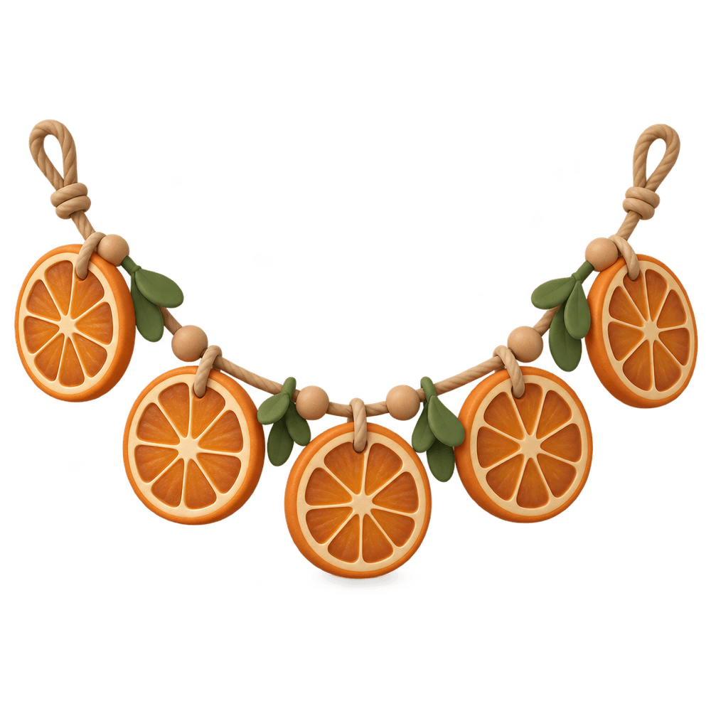 Dried Orange Slice Garland 3D icon