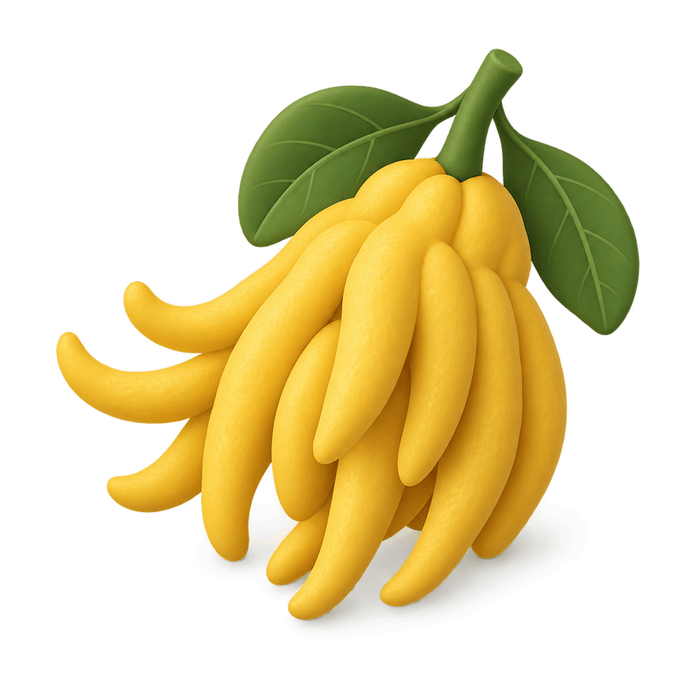 Buddha's Hand Citron 3D icon