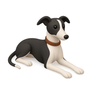 Whippet