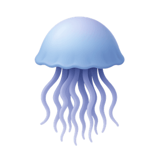 Jellyfish