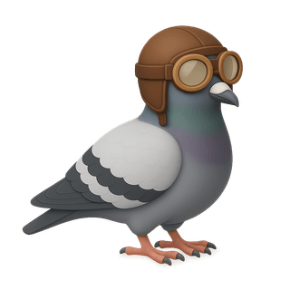 Racing Pigeon