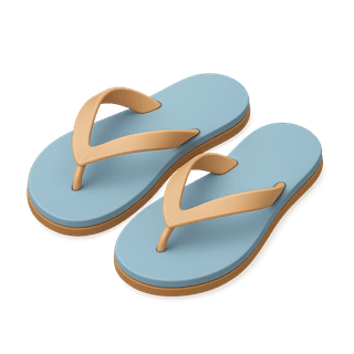 flip-flop