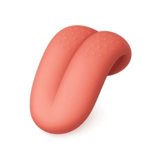Tongue