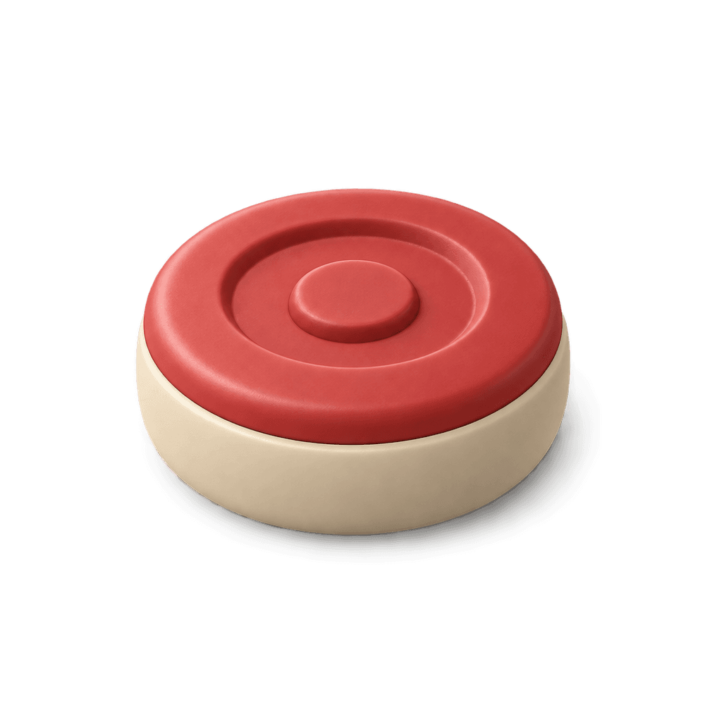 Shuffleboard Puck 3D icon
