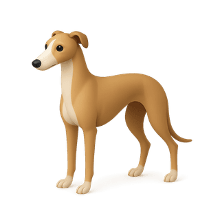 Greyhound
