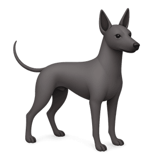 Xoloitzcuintle