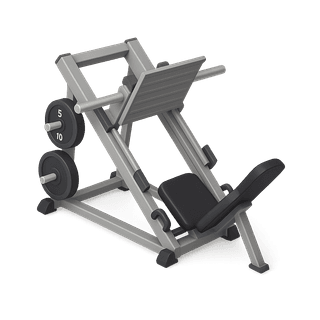 Leg Press
