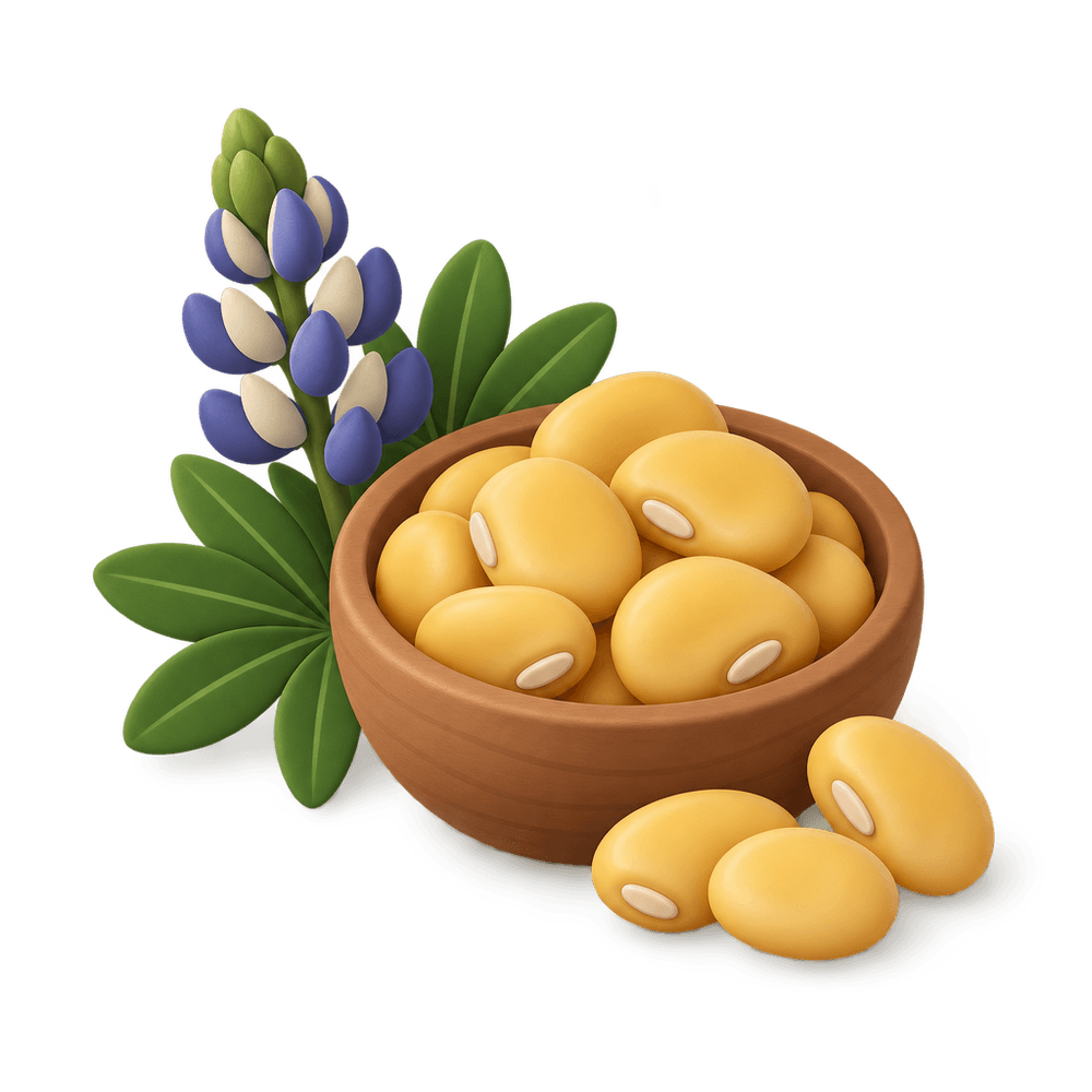 Lupini Beans 3D icon