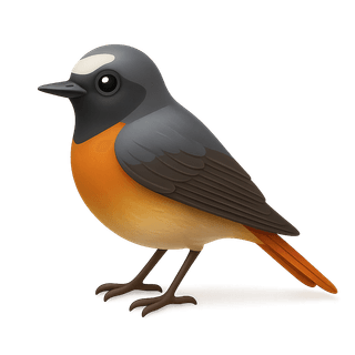 Common Redstart