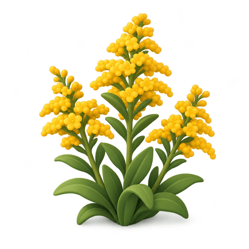 Goldenrod 3D icon