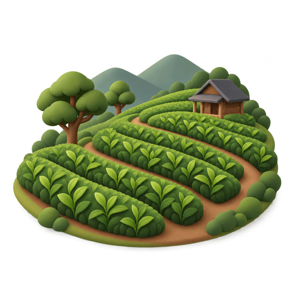 Tea Plantation 3D icon