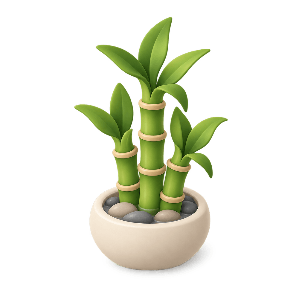 Lucky Bamboo 3D icon