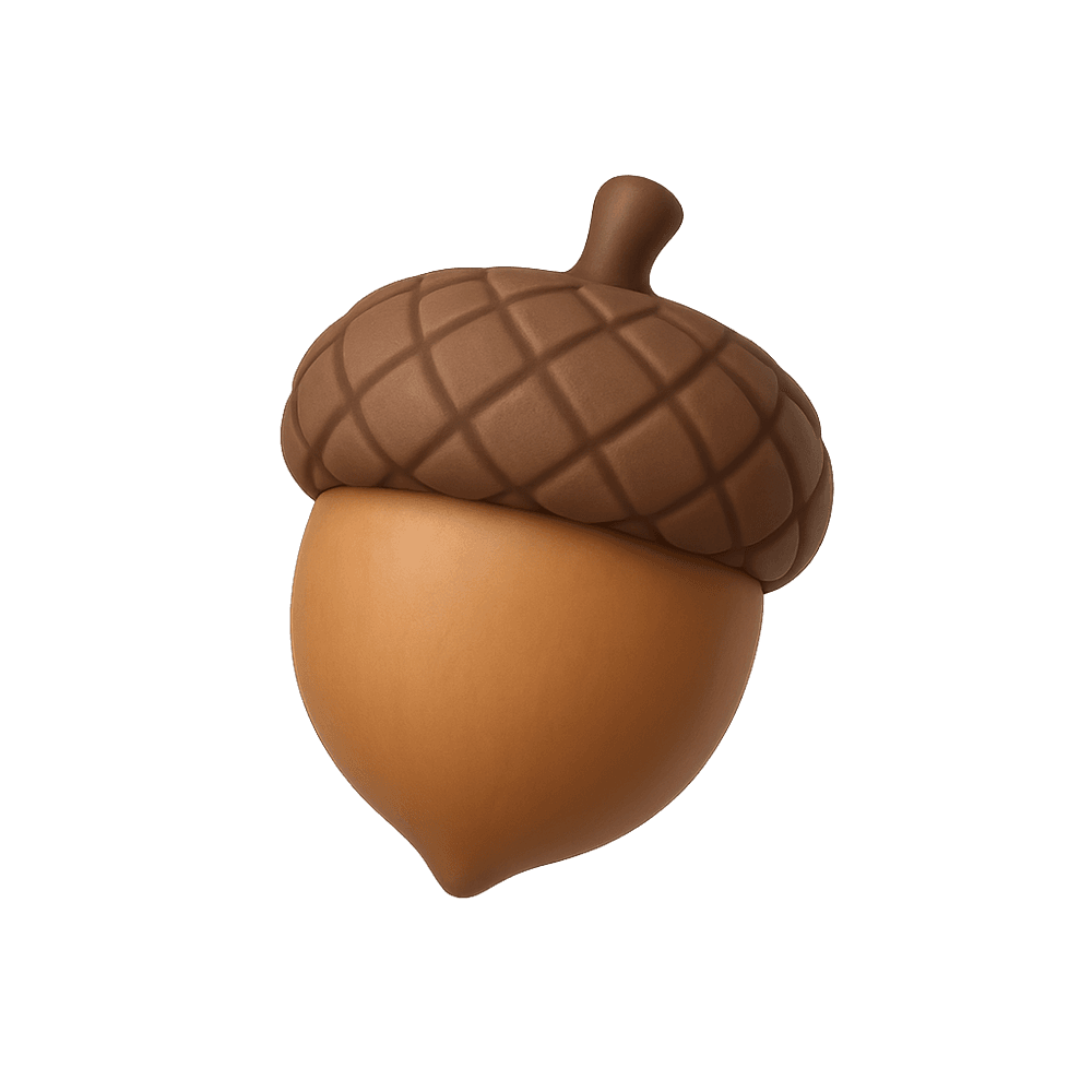 Acorn