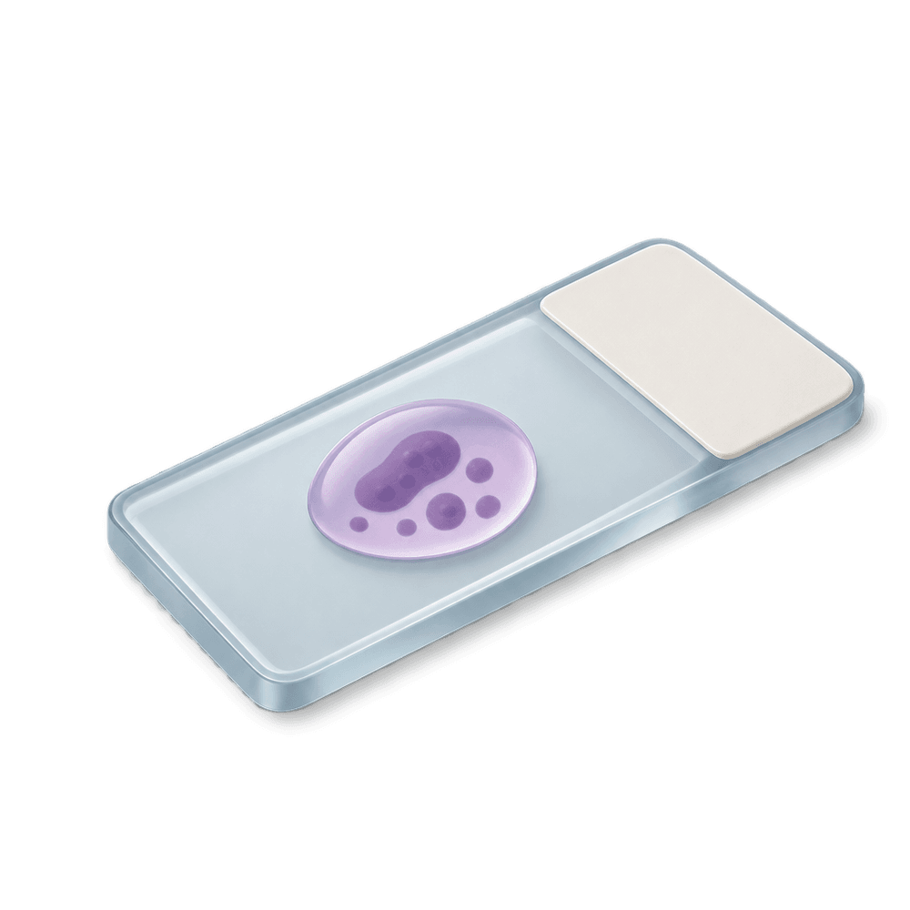 Microscope Slide 3D icon
