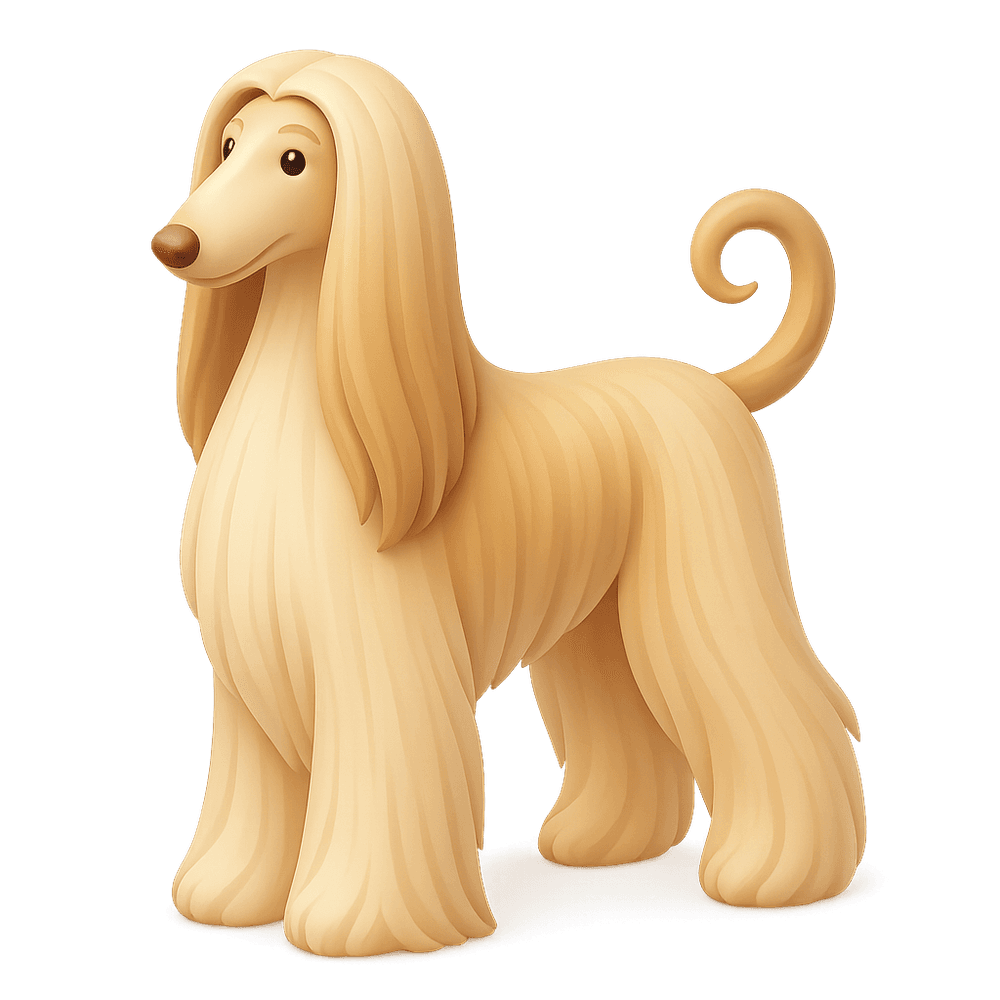 Afghan Hound